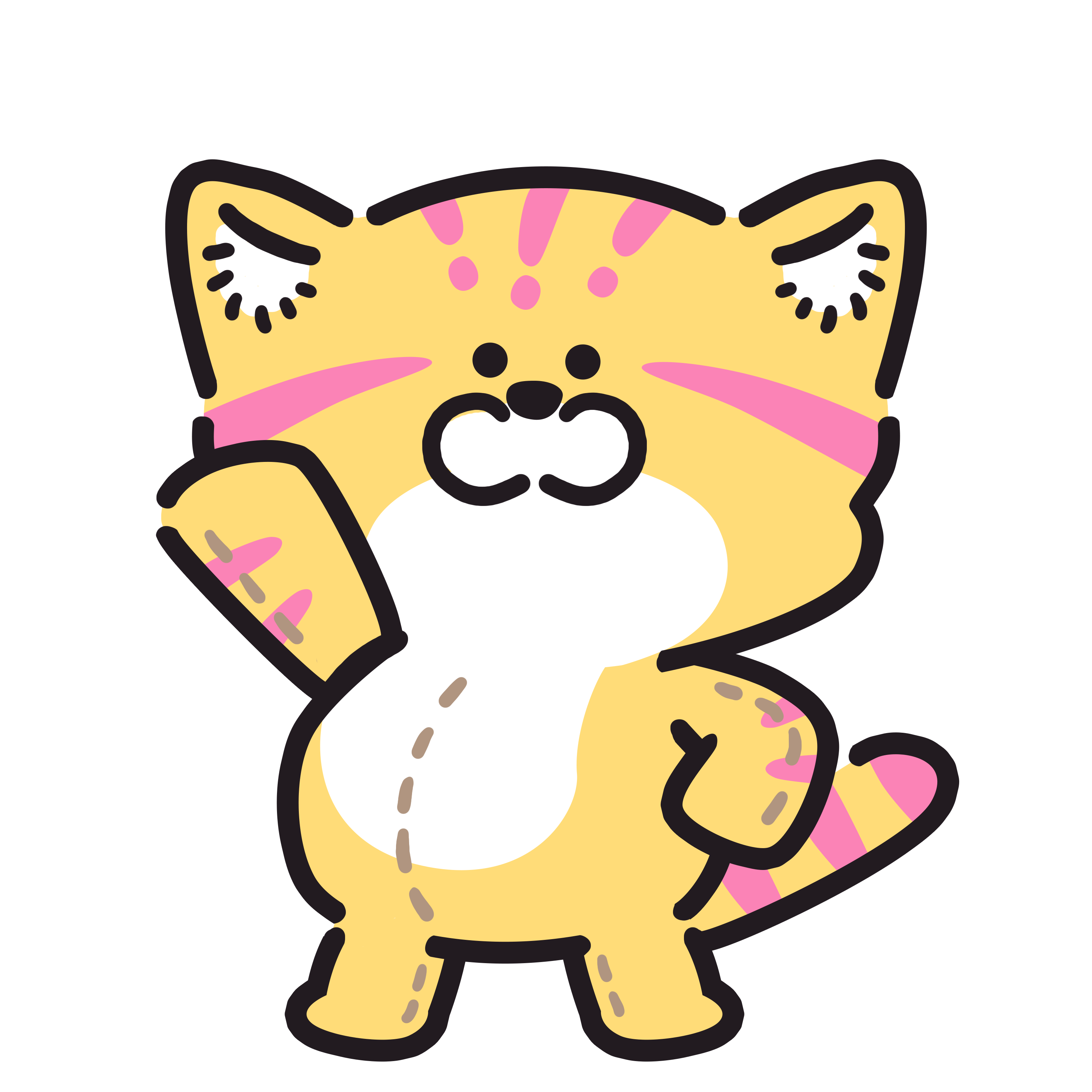 RDRI